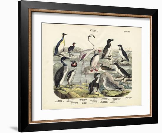 Birds, C.1860-null-Framed Giclee Print