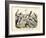 Birds, C.1860-null-Framed Giclee Print