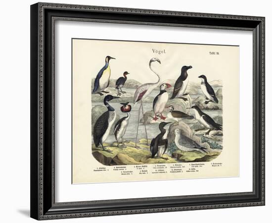 Birds, C.1860-null-Framed Giclee Print