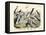 Birds, C.1860-null-Framed Premier Image Canvas