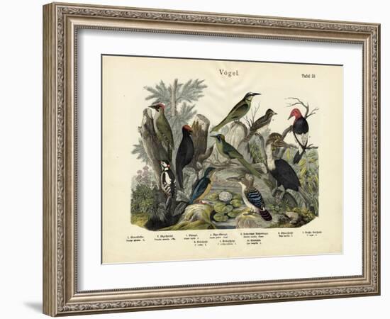 Birds, C.1860-null-Framed Giclee Print