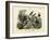 Birds, C.1860-null-Framed Giclee Print