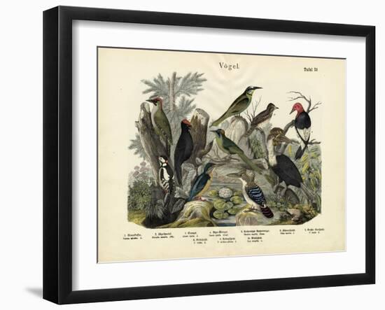 Birds, C.1860-null-Framed Giclee Print