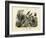 Birds, C.1860-null-Framed Giclee Print