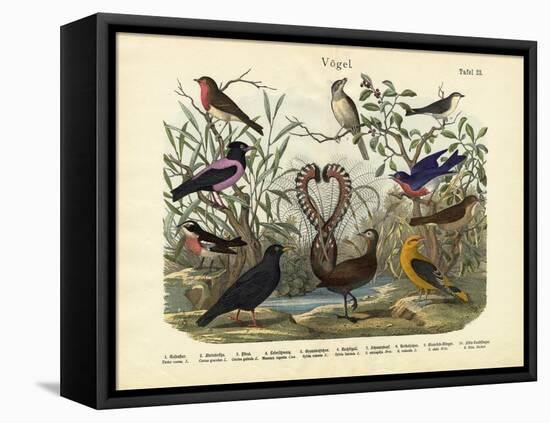 Birds, C.1860-null-Framed Premier Image Canvas