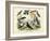 Birds, C.1860-null-Framed Giclee Print