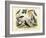 Birds, C.1860-null-Framed Giclee Print