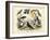 Birds, C.1860-null-Framed Giclee Print