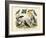 Birds, C.1860-null-Framed Giclee Print