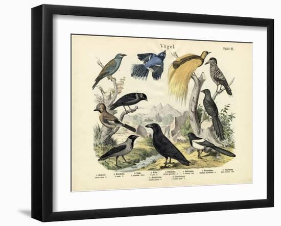 Birds, C.1860-null-Framed Giclee Print