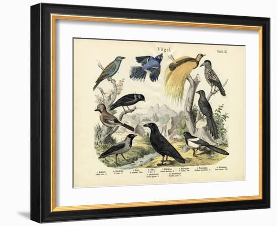 Birds, C.1860-null-Framed Giclee Print