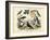 Birds, C.1860-null-Framed Giclee Print