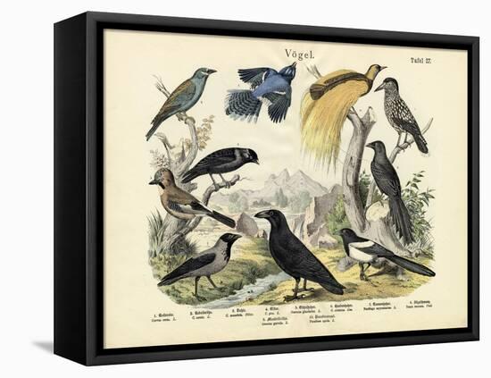 Birds, C.1860-null-Framed Premier Image Canvas