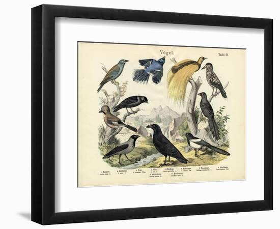 Birds, C.1860-null-Framed Giclee Print