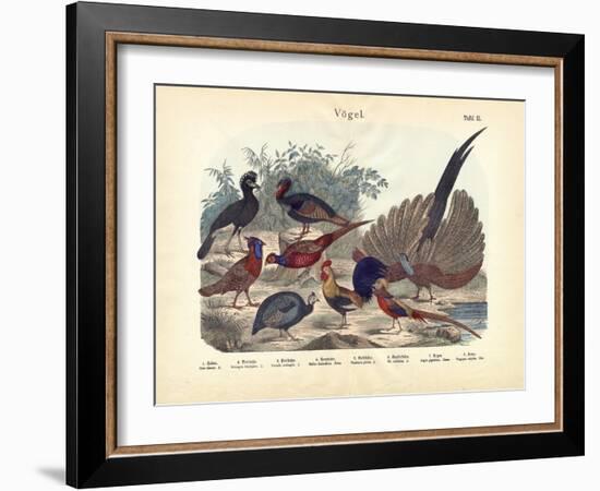 Birds, C.1860-null-Framed Giclee Print