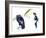 Birds: California Condor-null-Framed Premium Giclee Print