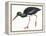 Birds: Ciconiiformes, Black Stork (Ciconia Nigra)-null-Framed Premier Image Canvas