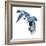 Birds: Coraciiformes, Belted Kingfisher (Megaceryle Alcyon)-null-Framed Giclee Print