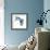 Birds: Coraciiformes, Belted Kingfisher (Megaceryle Alcyon)-null-Framed Giclee Print displayed on a wall