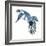 Birds: Coraciiformes, Belted Kingfisher (Megaceryle Alcyon)-null-Framed Giclee Print