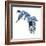 Birds: Coraciiformes, Belted Kingfisher (Megaceryle Alcyon)-null-Framed Giclee Print