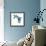 Birds: Coraciiformes, Belted Kingfisher (Megaceryle Alcyon)-null-Framed Giclee Print displayed on a wall