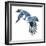 Birds: Coraciiformes, Belted Kingfisher (Megaceryle Alcyon)-null-Framed Giclee Print