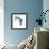 Birds: Coraciiformes, Belted Kingfisher (Megaceryle Alcyon)-null-Framed Giclee Print displayed on a wall