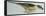 Birds: Coraciiformes, Malachite Kingfisher (Alcedo Cristata)-null-Framed Premier Image Canvas