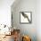 Birds, Cuculiformes, Pheasant Coucal (Centropus Phasianinus)-null-Framed Premier Image Canvas displayed on a wall