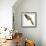 Birds, Cuculiformes, Pheasant Coucal (Centropus Phasianinus)-null-Framed Giclee Print displayed on a wall