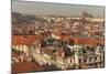 Birds Eye View from Old Town Square. Church of Our Lady of Tryn. Prague. Czech Republic-Tom Norring-Mounted Photographic Print