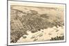 Birds Eye View of Jacksonville, Fla., Circa 1876, USA, America-null-Mounted Giclee Print