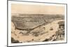 Birds' Eye View of New Orleans Drawn from Nature on Stone, Circa 1851, USA, America-John Bachmann-Mounted Giclee Print