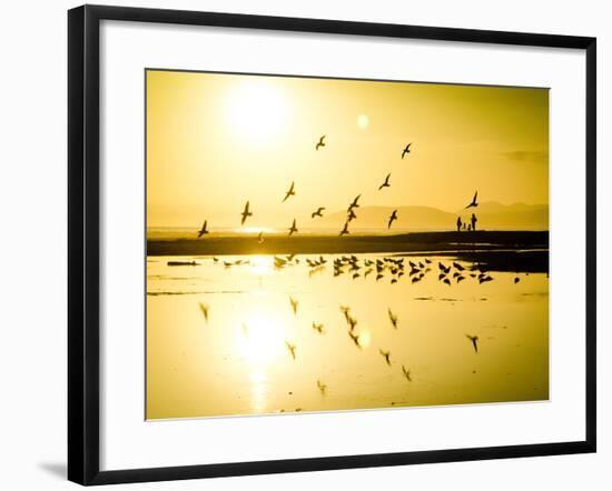 Birds Fly As The Sun Begins To Set Along The California Coast-Daniel Kuras-Framed Photographic Print