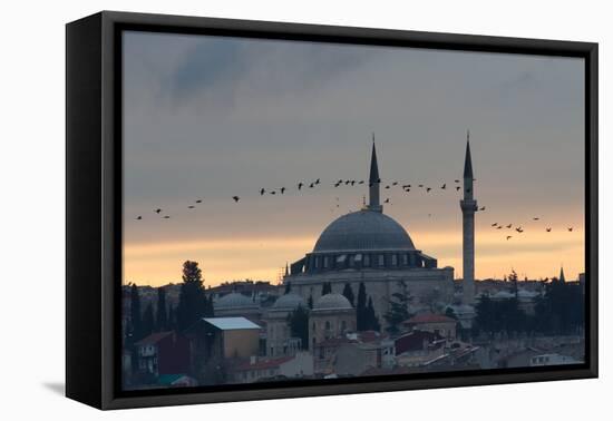 Birds Fly by a Mosque at Sunset-Alex Saberi-Framed Premier Image Canvas