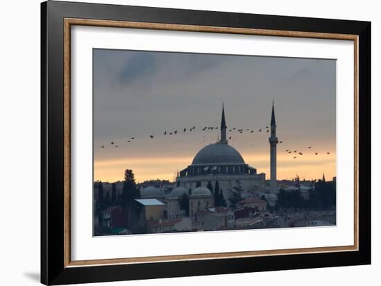 Birds Fly by a Mosque at Sunset-Alex Saberi-Framed Photographic Print