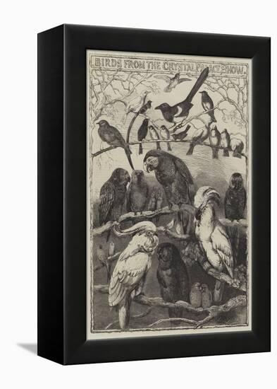 Birds from the Crystal Palace Show-Harrison William Weir-Framed Premier Image Canvas