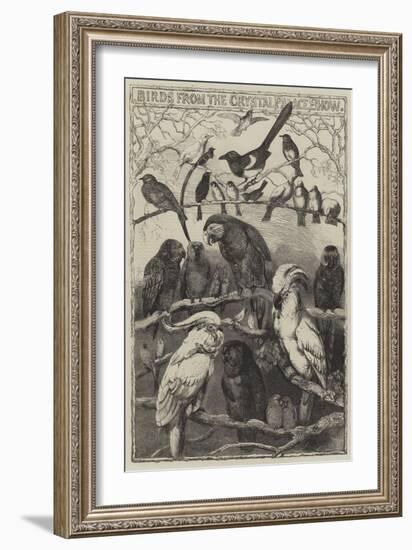 Birds from the Crystal Palace Show-Harrison William Weir-Framed Giclee Print