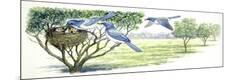 Premium Giclee Print