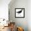 Birds: Gruiformes, Common Moorhen (Gallinula Chloropus)-null-Framed Premier Image Canvas displayed on a wall