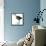 Birds: Gruiformes, White-Striped Forest-Rail (Rallina Leucospila)-null-Framed Premier Image Canvas displayed on a wall