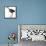 Birds: Gruiformes, White-Striped Forest-Rail (Rallina Leucospila)-null-Framed Premier Image Canvas displayed on a wall