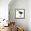 Birds: Gruiformes, White-Striped Forest-Rail (Rallina Leucospila)-null-Framed Giclee Print displayed on a wall