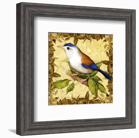 Birds I-null-Framed Art Print