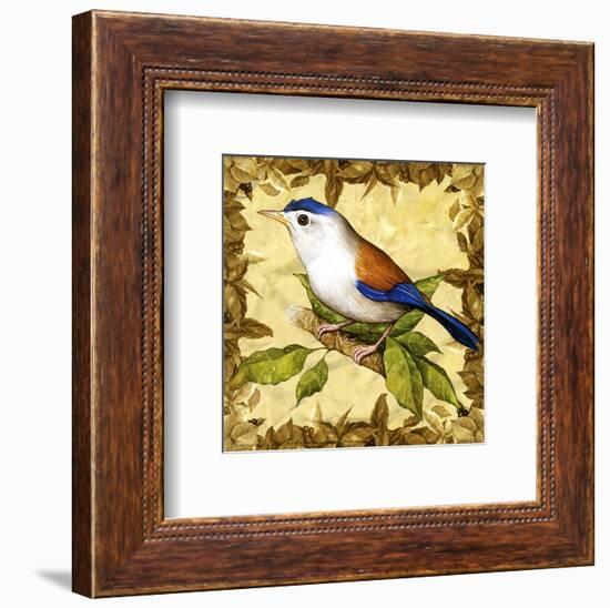 Birds I-null-Framed Art Print