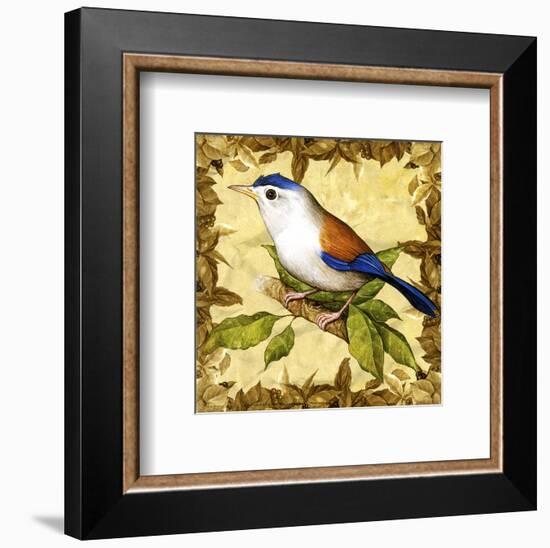 Birds I-null-Framed Art Print