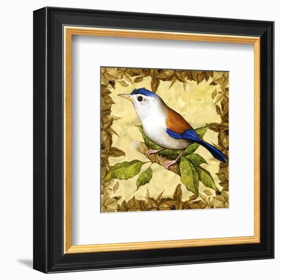 Birds I-null-Framed Art Print