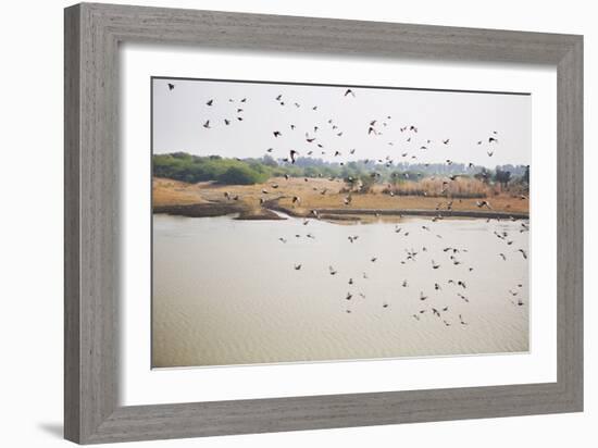 Birds I-Karyn Millet-Framed Photographic Print