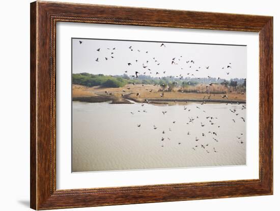 Birds I-Karyn Millet-Framed Photographic Print